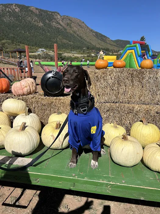 1-800 Water Damage of Colorado Springs Picture 8