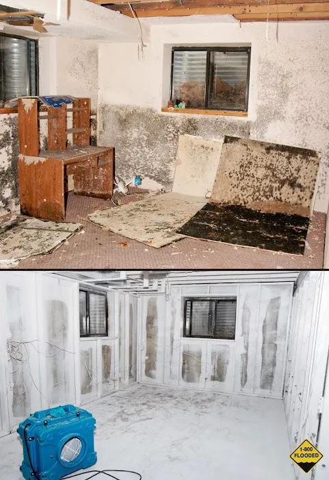 CMS Restoration Picture 9