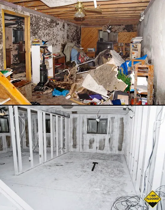 CMS Restoration Picture 8