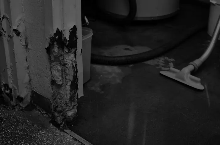 CMS Restoration Picture 5