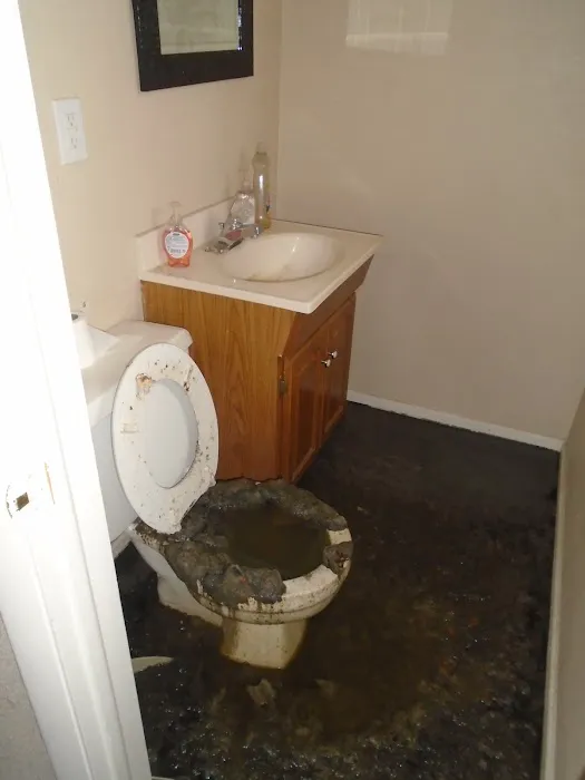 CMS Restoration Picture 4