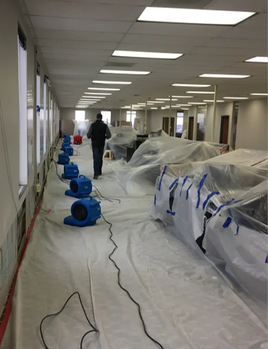 All Phase Restoration Picture 8