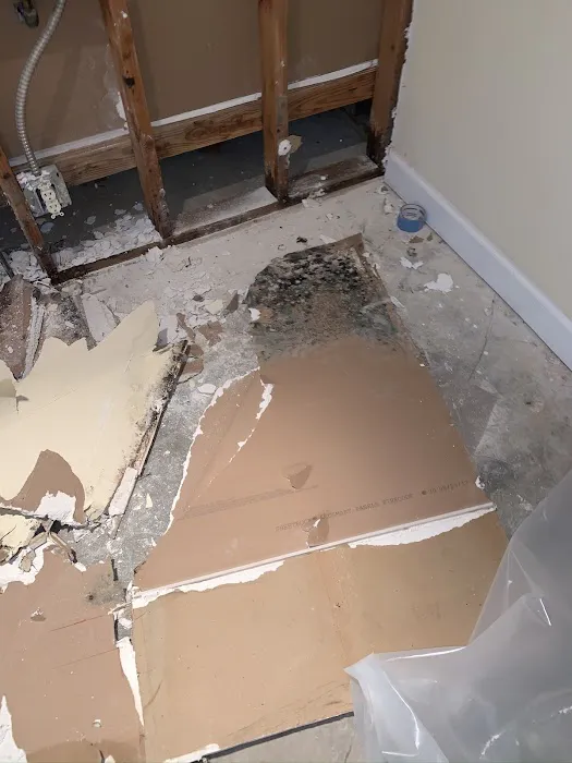 SERVPRO of Colorado Springs Southeast Picture 2