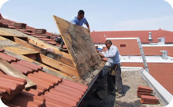 Top Gun Water Damage Restoration Colorado Springs, CO Picture 2