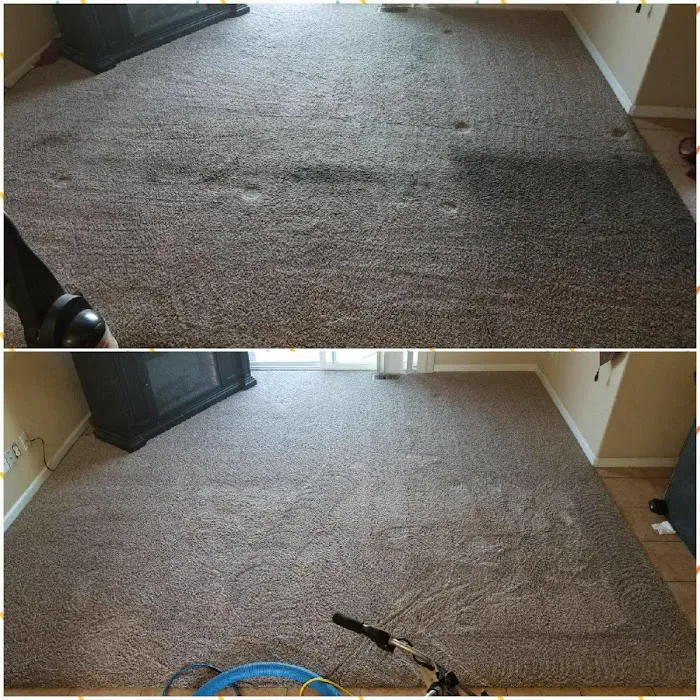 EE Cleaning & Restoration Picture 8