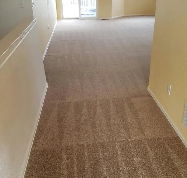 EE Cleaning & Restoration Picture 6