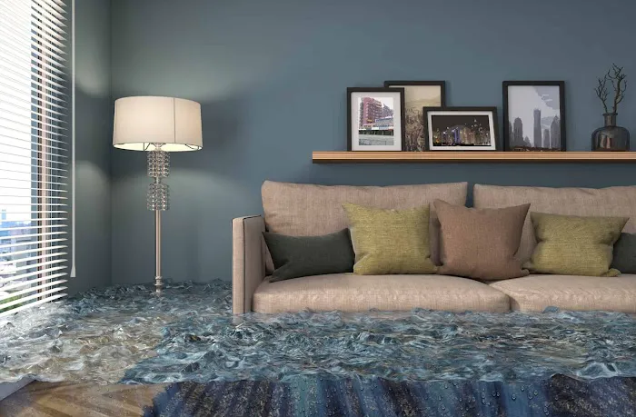 AmeriDri Restoration Picture 10