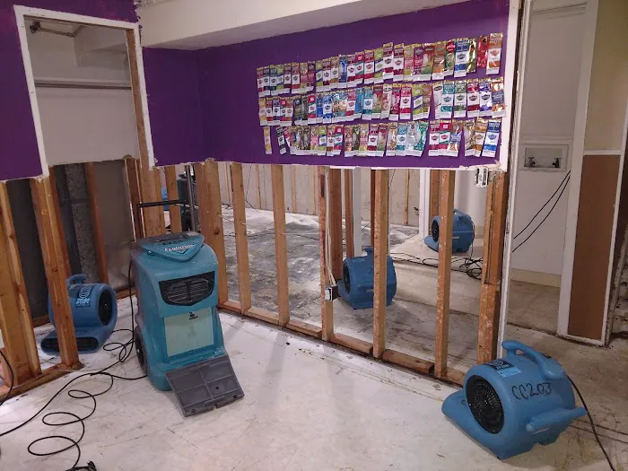 MD & Cleaning Specialists Picture 10