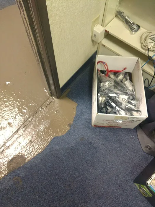 MD & Cleaning Specialists Picture 4