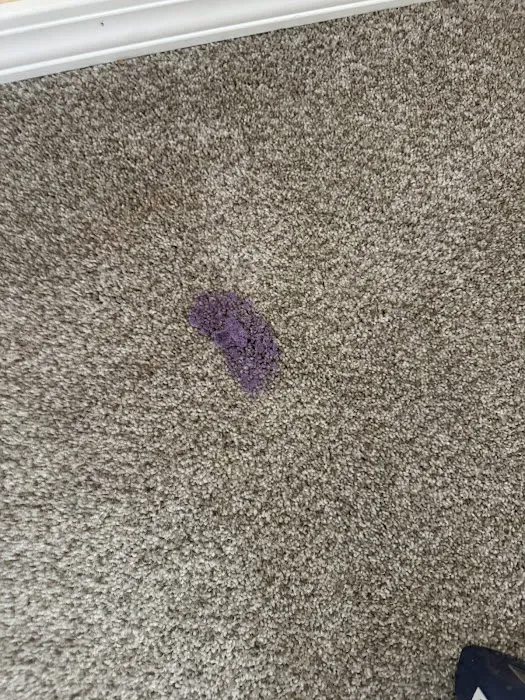 Creative Carpet Care & Restoration Picture 6