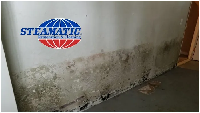 Steamatic of Colorado Springs Picture 8