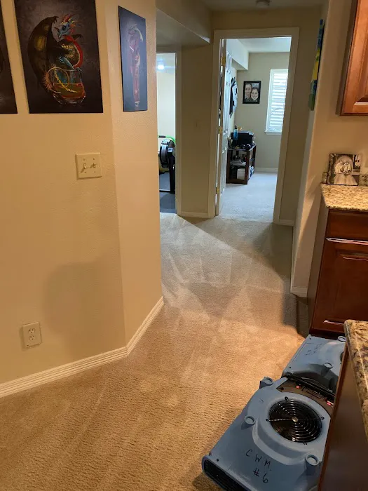 Colorado Water & Mold Restoration Picture 10