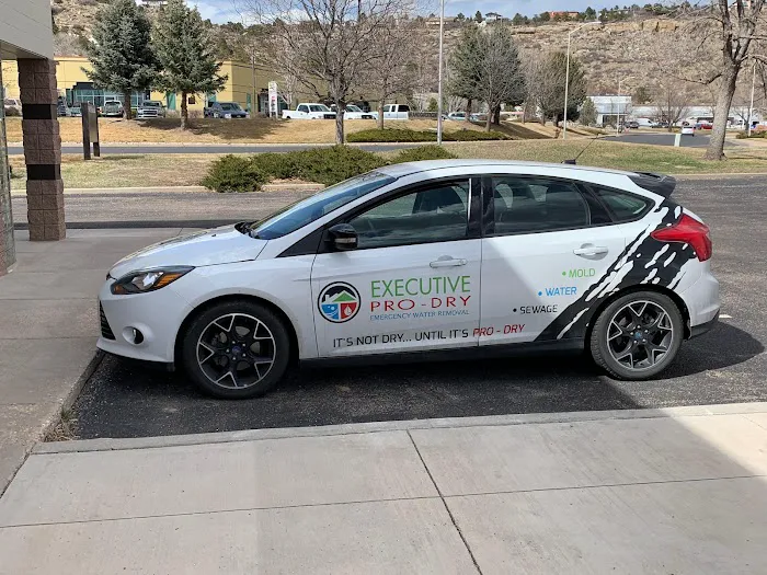 Executive Pro-Dry Water, Sewage & Mold Remediation - Colorado Springs, CO Picture 4