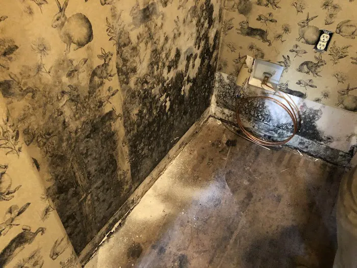 SERVPRO of North Central Colorado Springs Picture 8