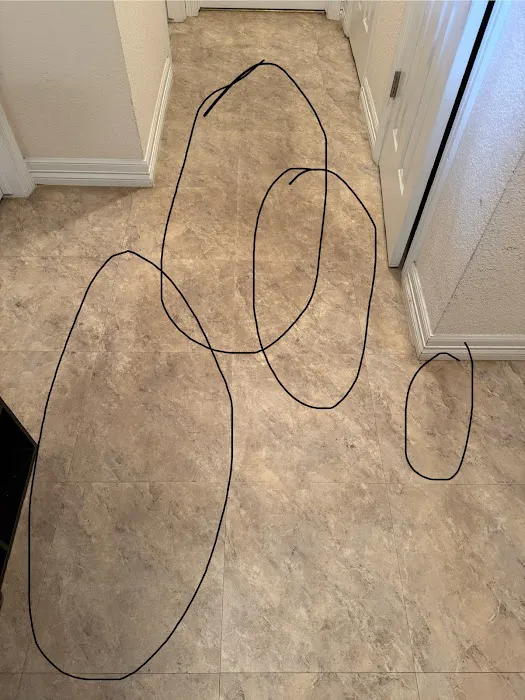 Stanley Steemer Picture 9