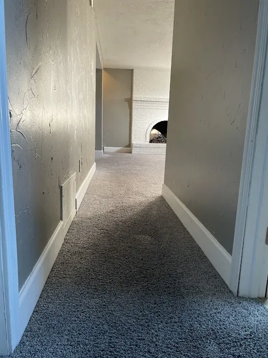 Stanley Steemer Picture 3