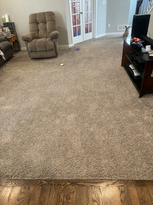 Stanley Steemer Picture 2