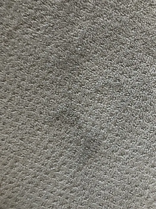 Stanley Steemer Picture 8