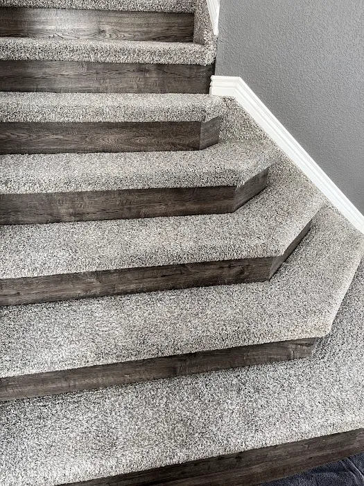 Stanley Steemer Picture 10