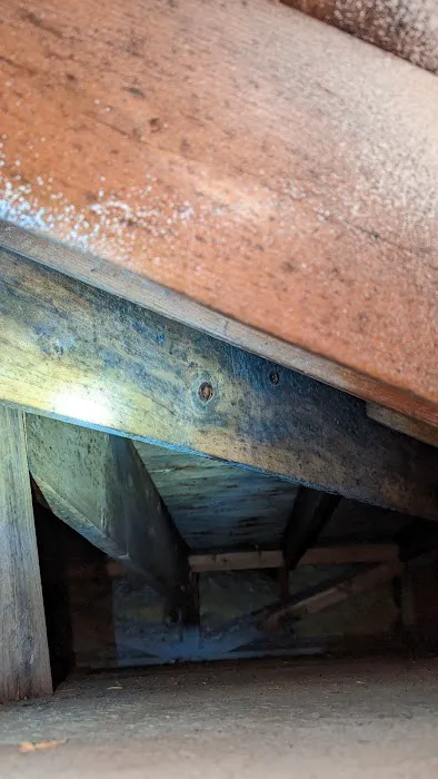 Action 911 Restoration and Environmental Services Picture 8