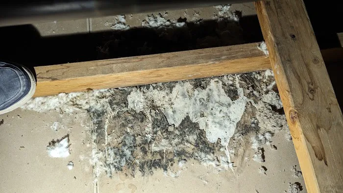 Action 911 Restoration and Environmental Services Picture 6