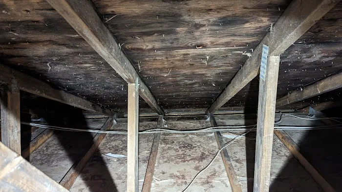 Action 911 Restoration and Environmental Services Picture 5