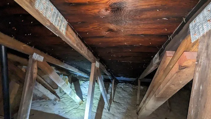 Action 911 Restoration and Environmental Services Picture 4