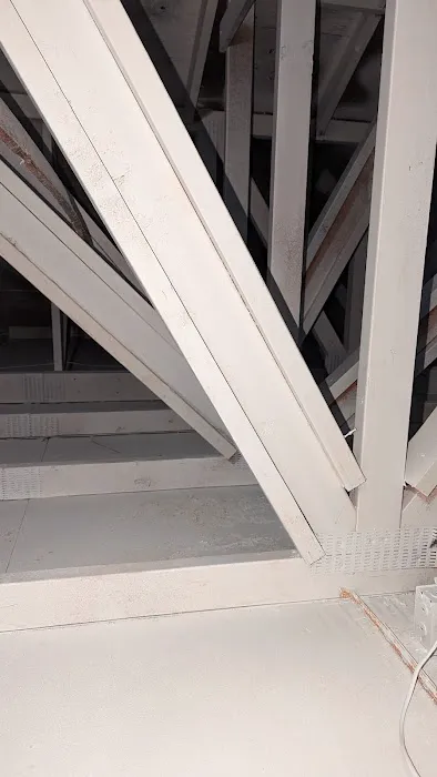 Action 911 Restoration and Environmental Services Picture 2