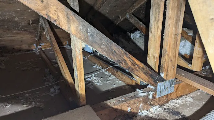 Action 911 Restoration and Environmental Services Picture 9