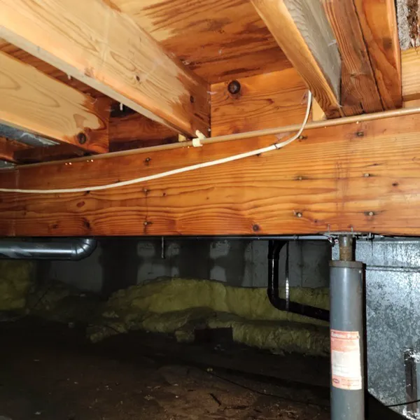 Absolute Water Damage and Mitigation Picture 4