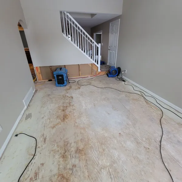 Absolute Water Damage and Mitigation Picture 3