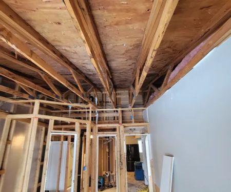 Absolute Water Damage and Mitigation