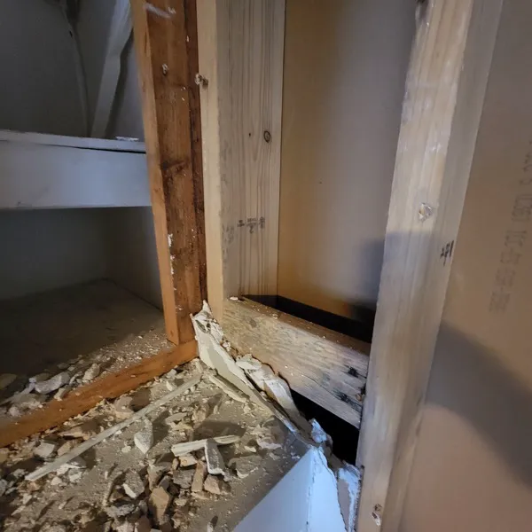 Absolute Water Damage and Mitigation Picture 10