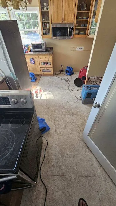 All-Star Restoration Picture 4