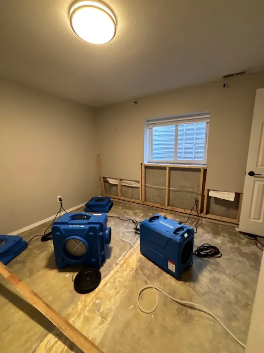 All-Star Restoration Picture 2