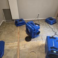 All-Star Restoration ico