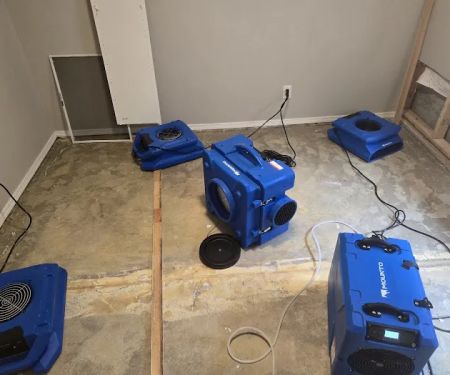 All-Star Restoration