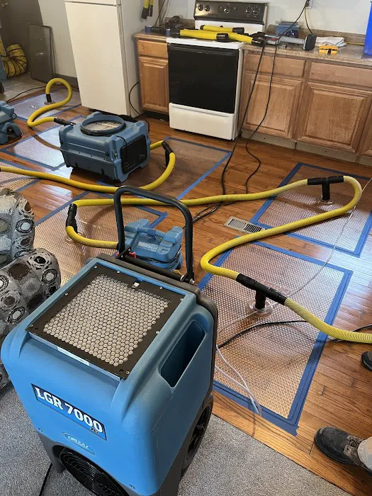 Full Restoration Service Picture 3