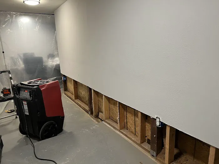 Full Restoration Service Picture 6