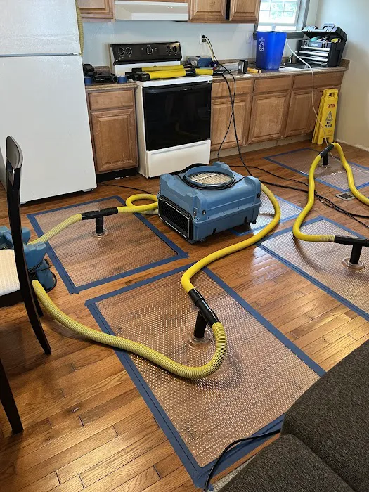 Full Restoration Service Picture 4