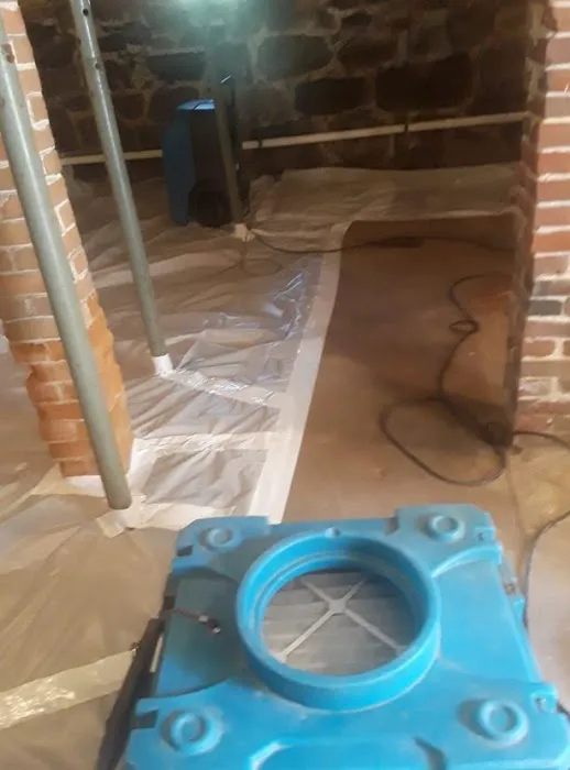 Mold Remediation Los Angeles Experts Picture 1