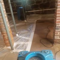 Mold Remediation Los Angeles Experts ico