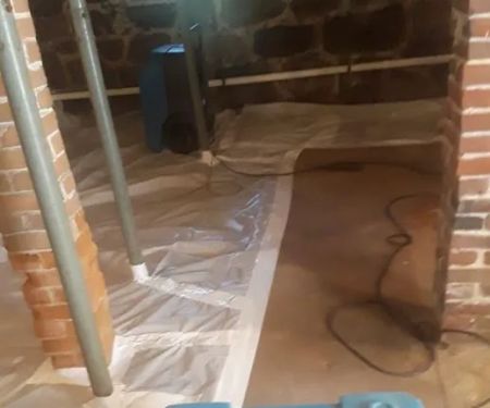 Mold Remediation Los Angeles Experts