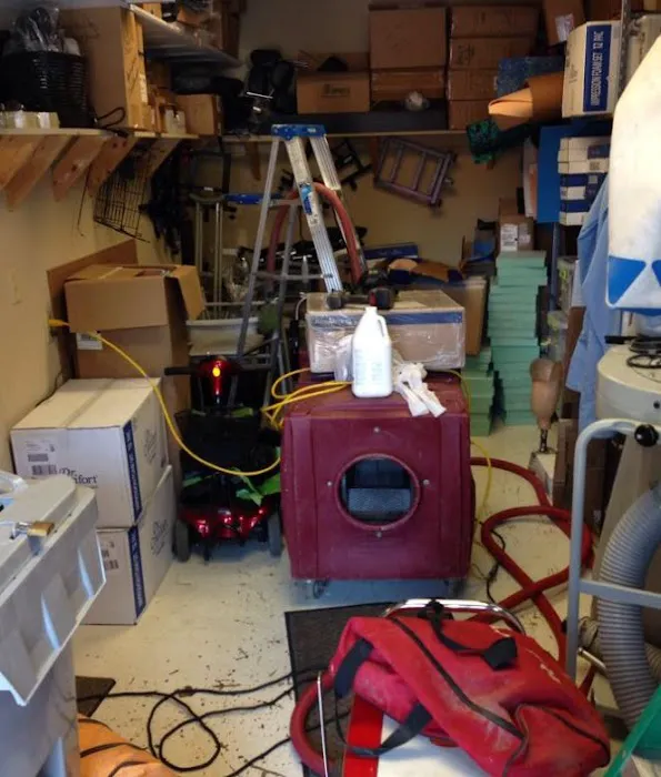 Mold Remediation Los Angeles Experts Picture 6