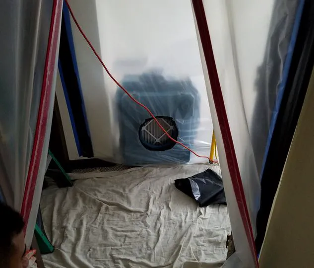 Mold Remediation Los Angeles Experts Picture 5