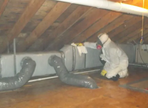 Mold Remediation Los Angeles Experts Picture 4