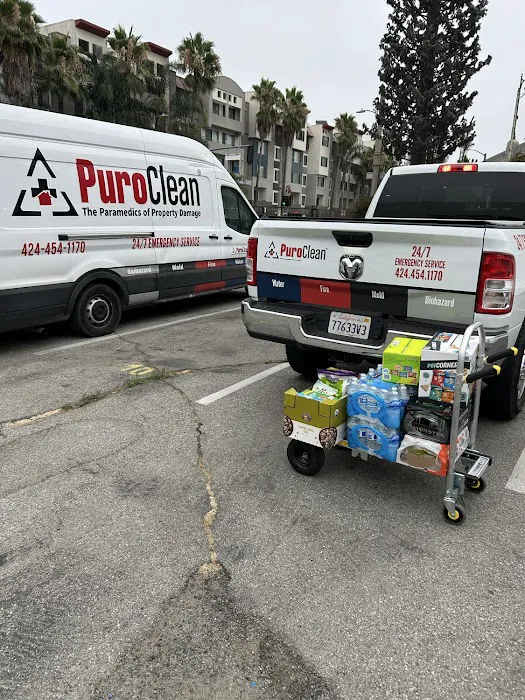 PuroClean of Victor Heights Picture 4