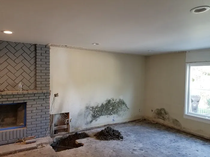 PuroClean of Victor Heights Picture 3