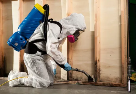 Dista Water Damage Restoration Picture 1