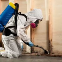 Dista Water Damage Restoration ico